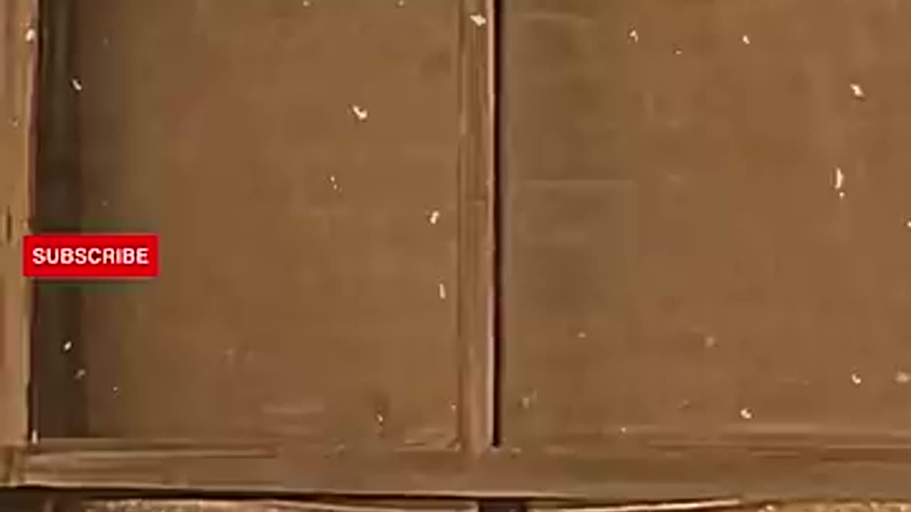 King of comedy