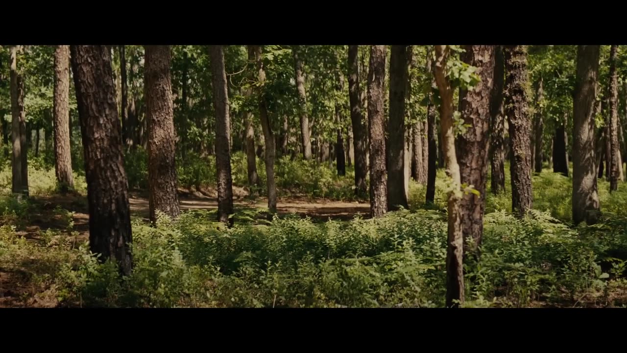 Knock at the Cabin (2023 film)Trailers