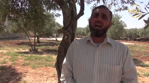 خواطر شامية متى يبدع الشباب؟