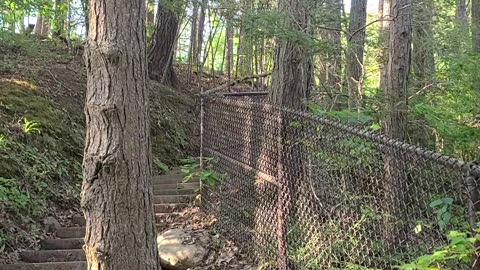 Treman Park Gorge Trail Ascent: Part 5