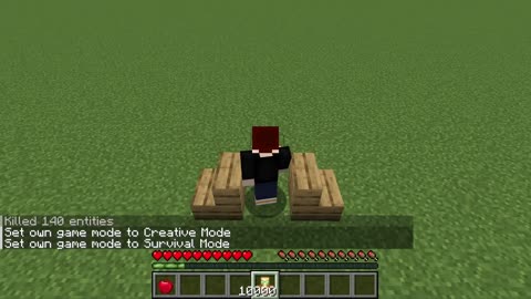 PUSHING MINECRAFT to Its ABSOLUTE LIMITS 😱 – You Won’t Believe What Happens!