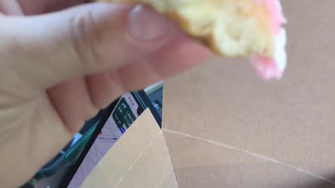 Tim Hortons Strawberry Cream Donut Taste Test The Fast-Food Restaurant & Dessert Review Guys