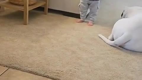 😂 Her Toddler's Meltdown is a Must-See! | FunFM