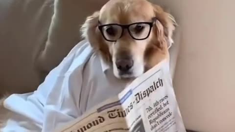 That’s not my dad 💀