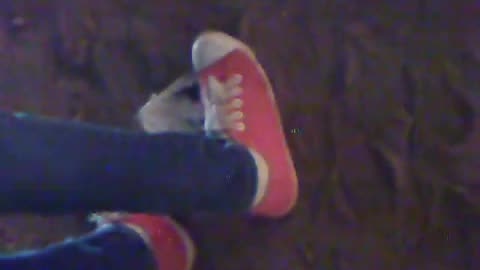 Crushed Under Red Sneakers