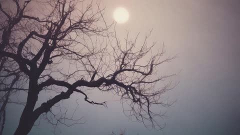 Under My Skin
