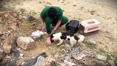 🆘 Alone and scared of her puppies... until something incredible happens. 💔🐶