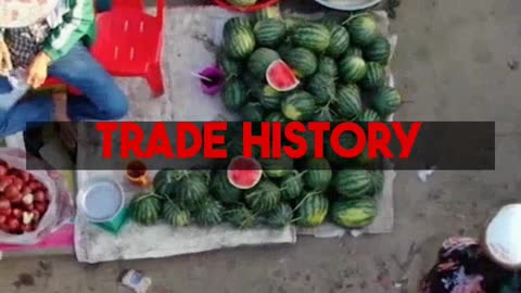 Discover Kochis Spice Trade Story and Hidden Gems