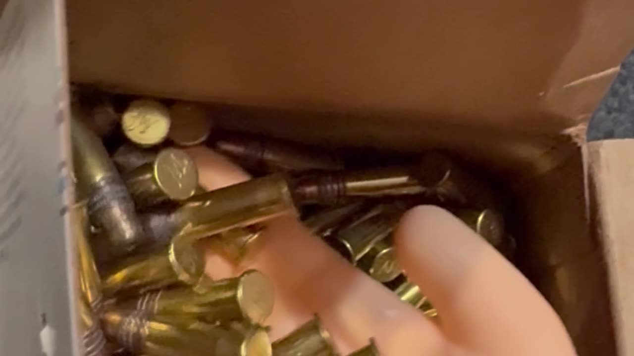 Friday Freedom seeds with SPH featuring .22 LR Winchester! #2A #funny