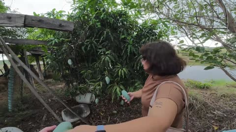 LiveKuikka 🇻🇳 | $1 TTS | $2 MEDIA | !donate