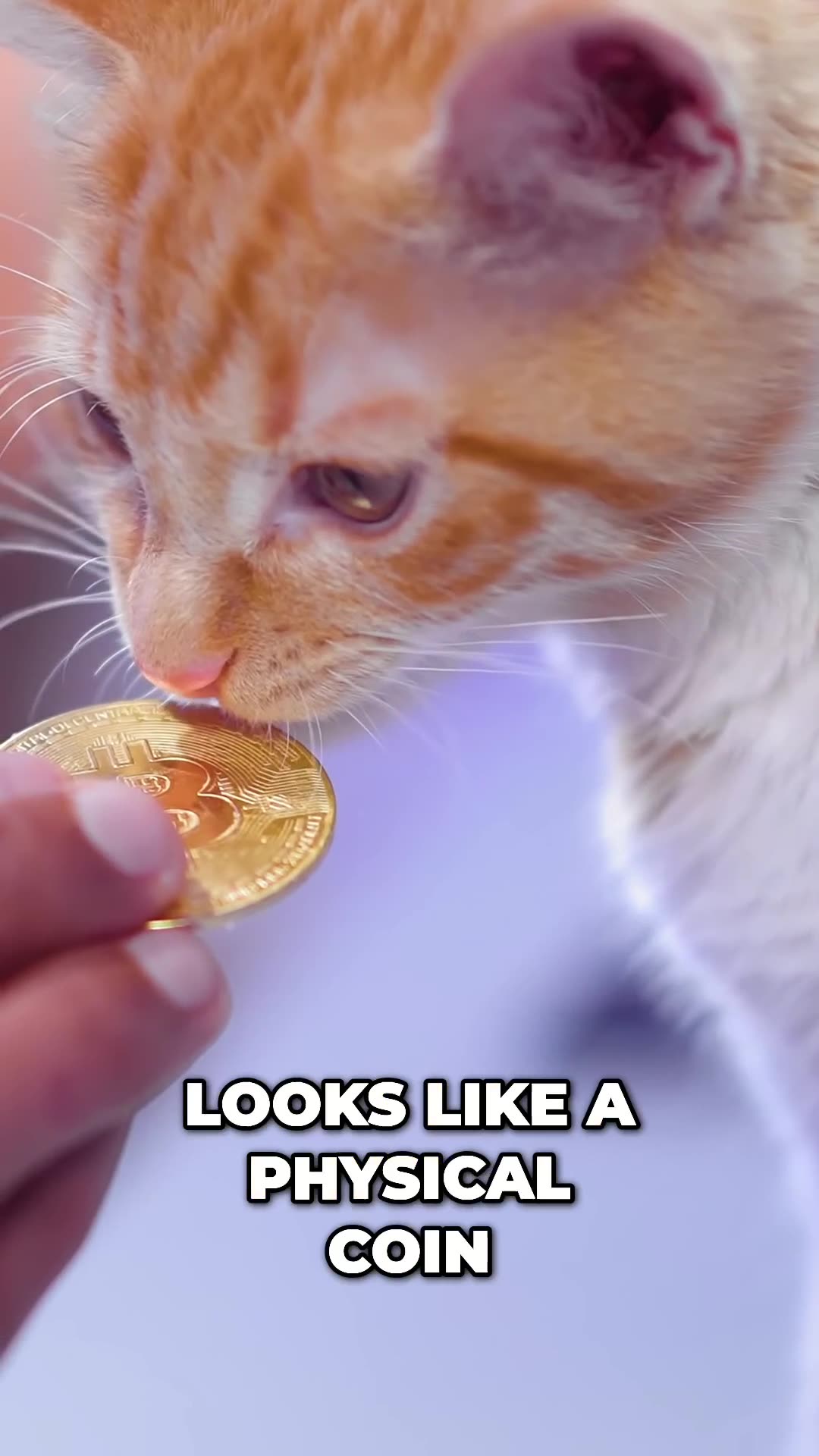 Cryptocurrencies 101_ From Noob to Genius