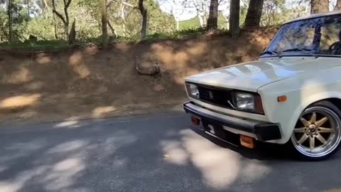 Lada Laika - o fracasso soviético no Brasil