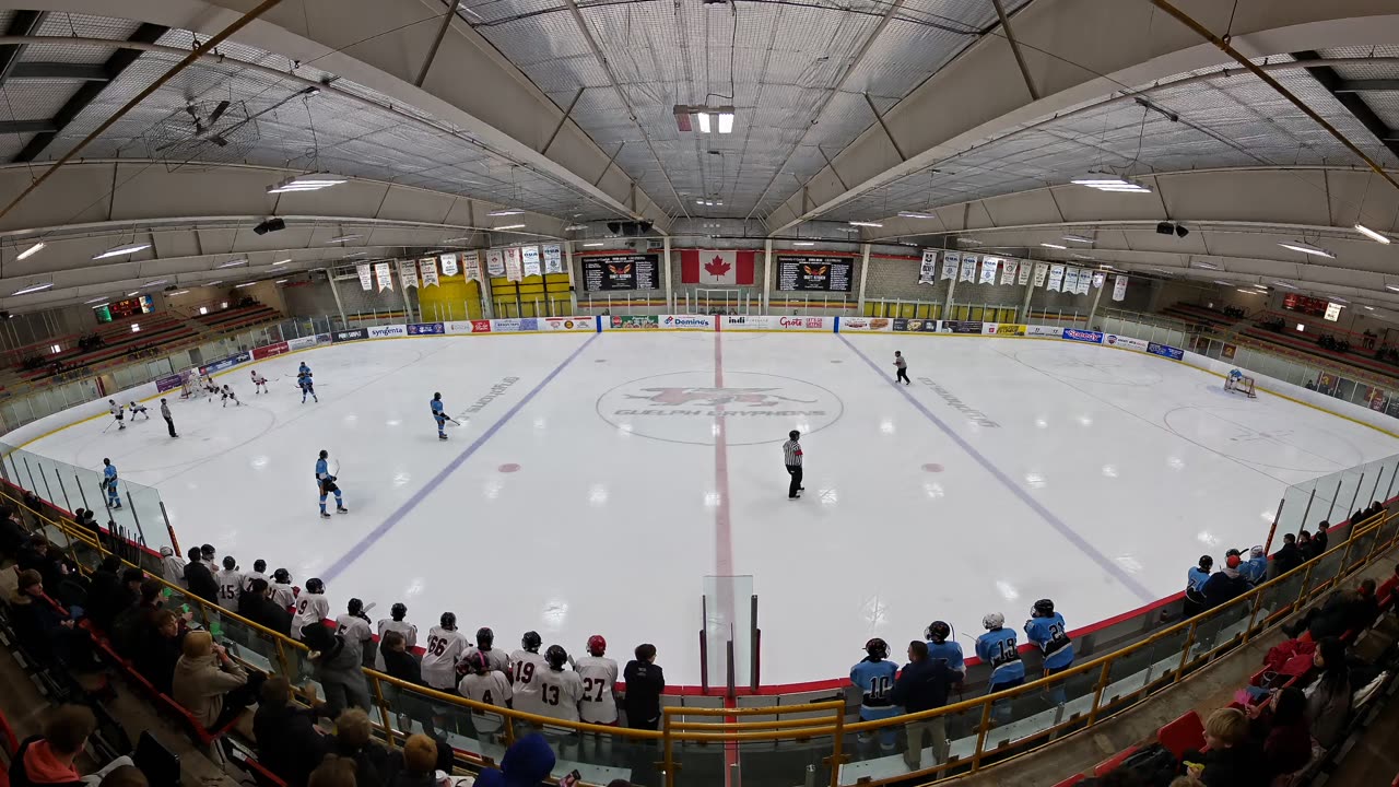 Celtics v Lions Dec 11-1