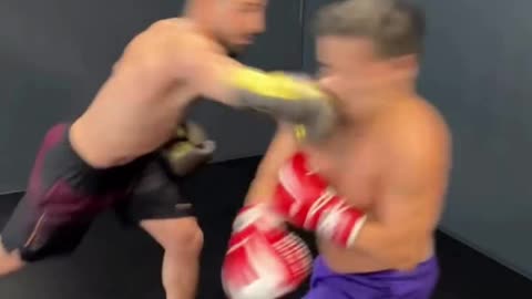 Steiny Gets Knocked Down by Ilia Topuria