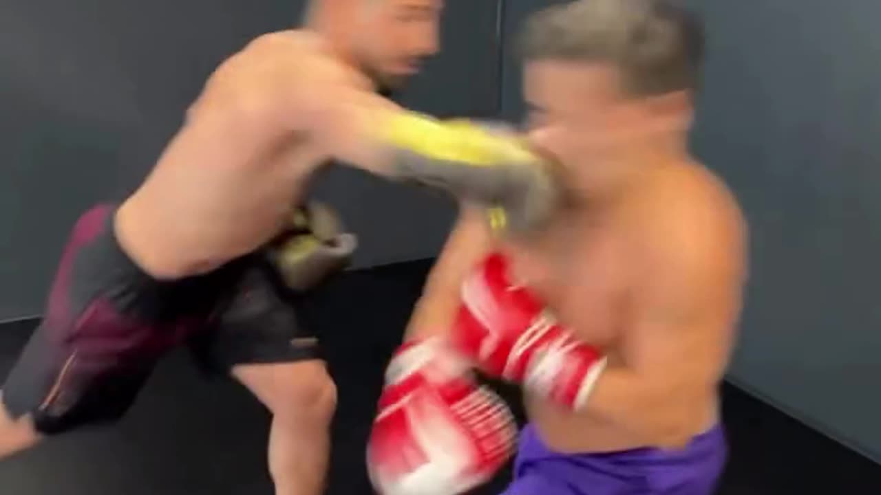 Steiny Gets Knocked Down by Ilia Topuria
