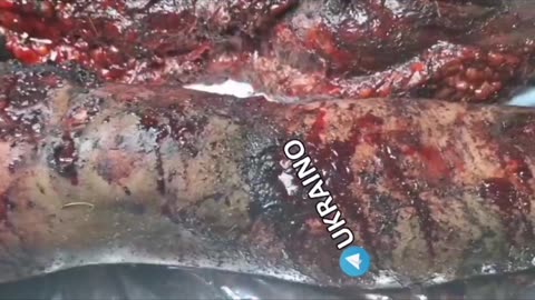 Welcome to NATO Sweden