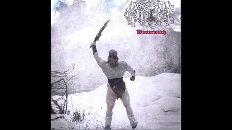 Nachtfalke - Winterwitch