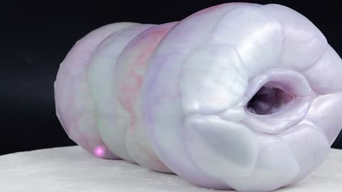 FAAK Male Masturbator Arashiro 153494 G6139