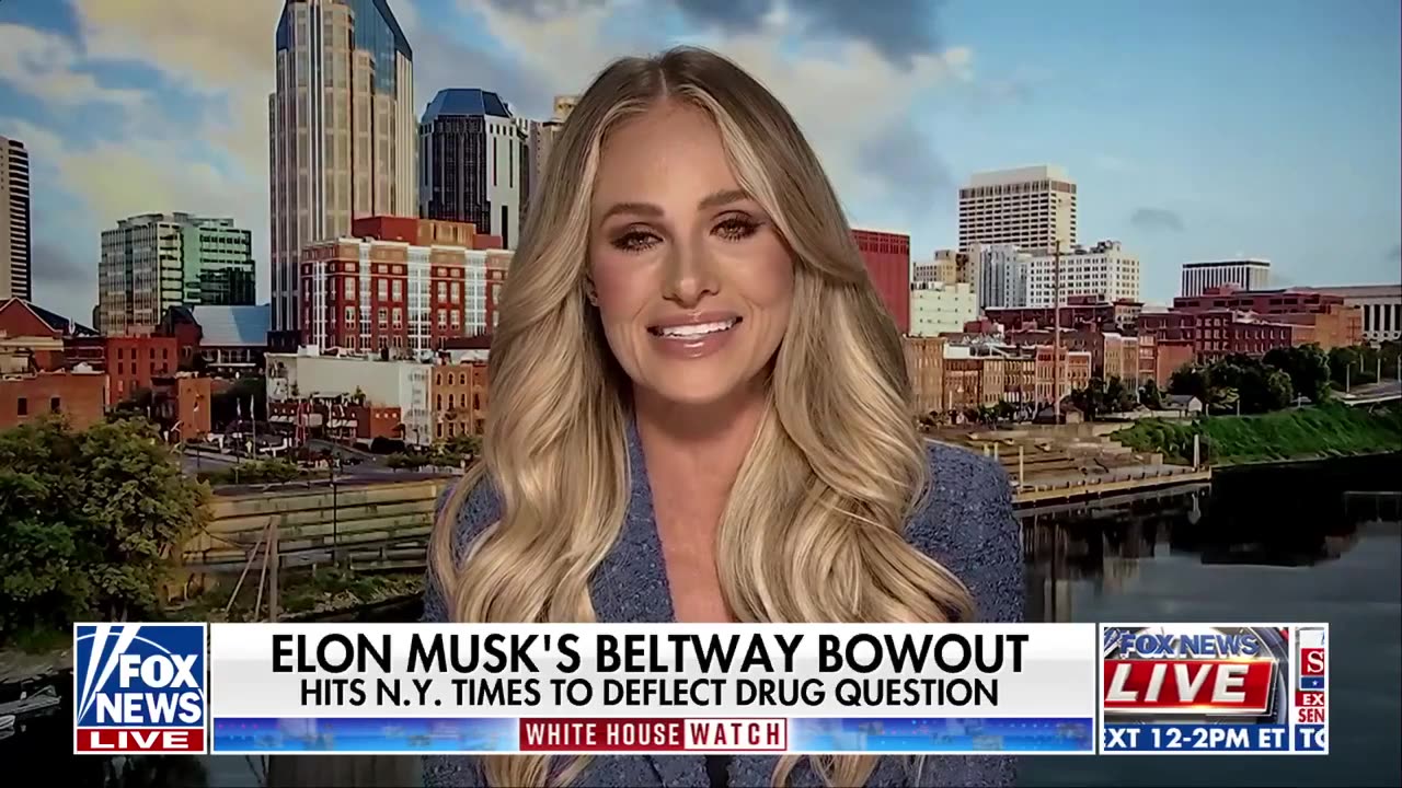 'Nothingburger': Tomi Lahren brushes off Musk drug use claims