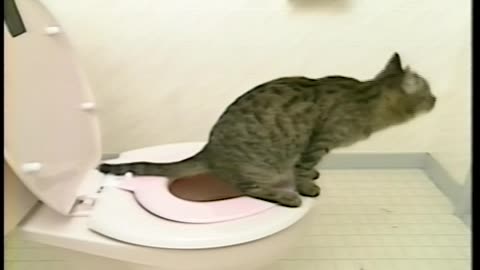 Prof. ROCKY's Toilet Training (1991)
