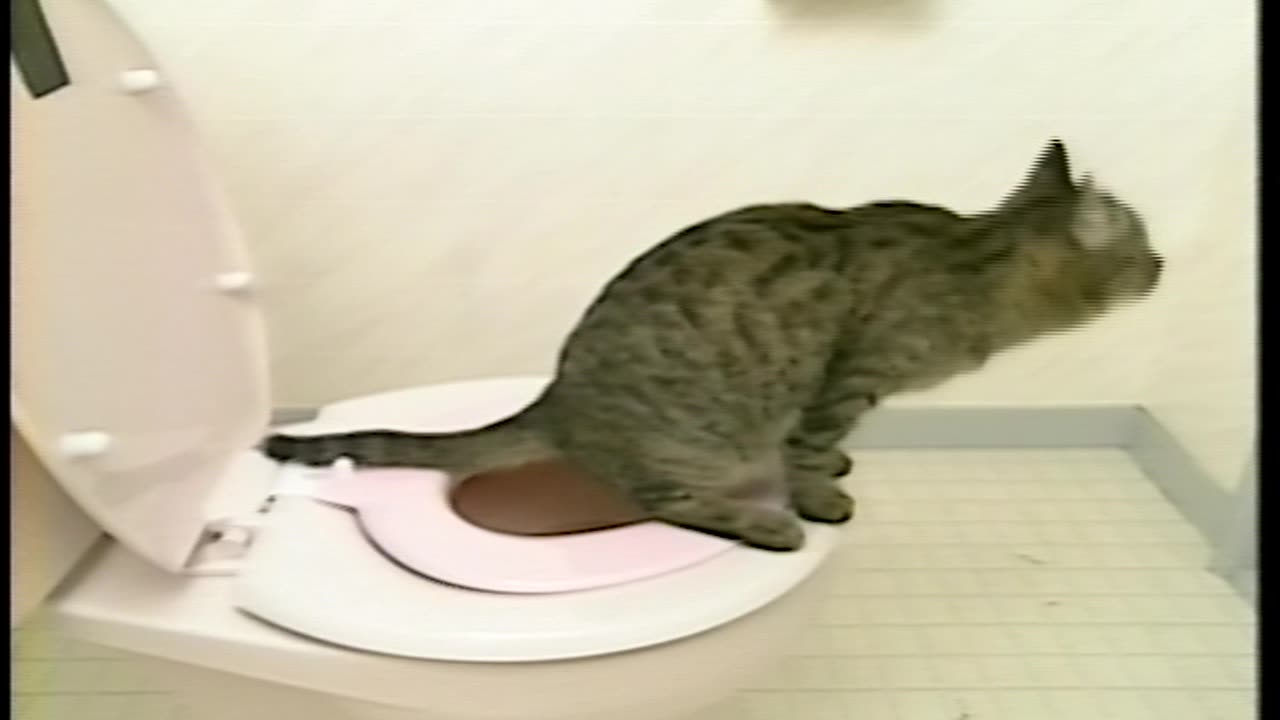 Prof. ROCKY's Toilet Training (1991)