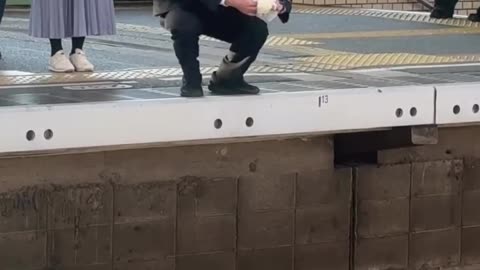 this officer risked his job to return a child's toy