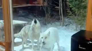 😱🤯 This Crazy Moment Will Leave You Speechless! | FunFM