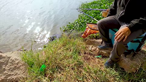 Bream Spin Casting in Lake Shallows