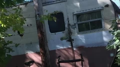 Woman delivers pizza to rusty trailer for years, when she finally saw inside, her jaw dropped 2m