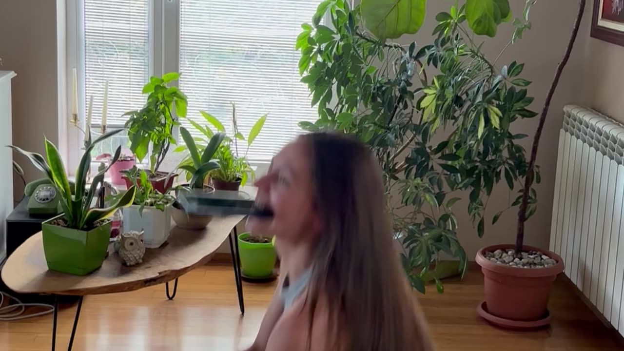 Making the viral cat video