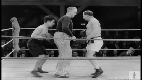 Funny Videos Compilation (Funny Clips) (try not to laugh) (JustForLaughGags) [videosrire]