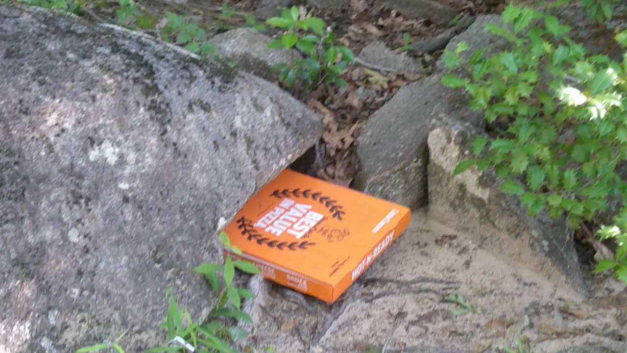 Fat Greasy Litterbug