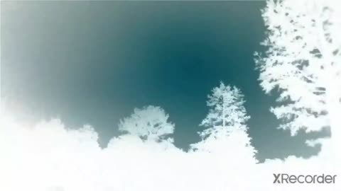 Negative lightning
