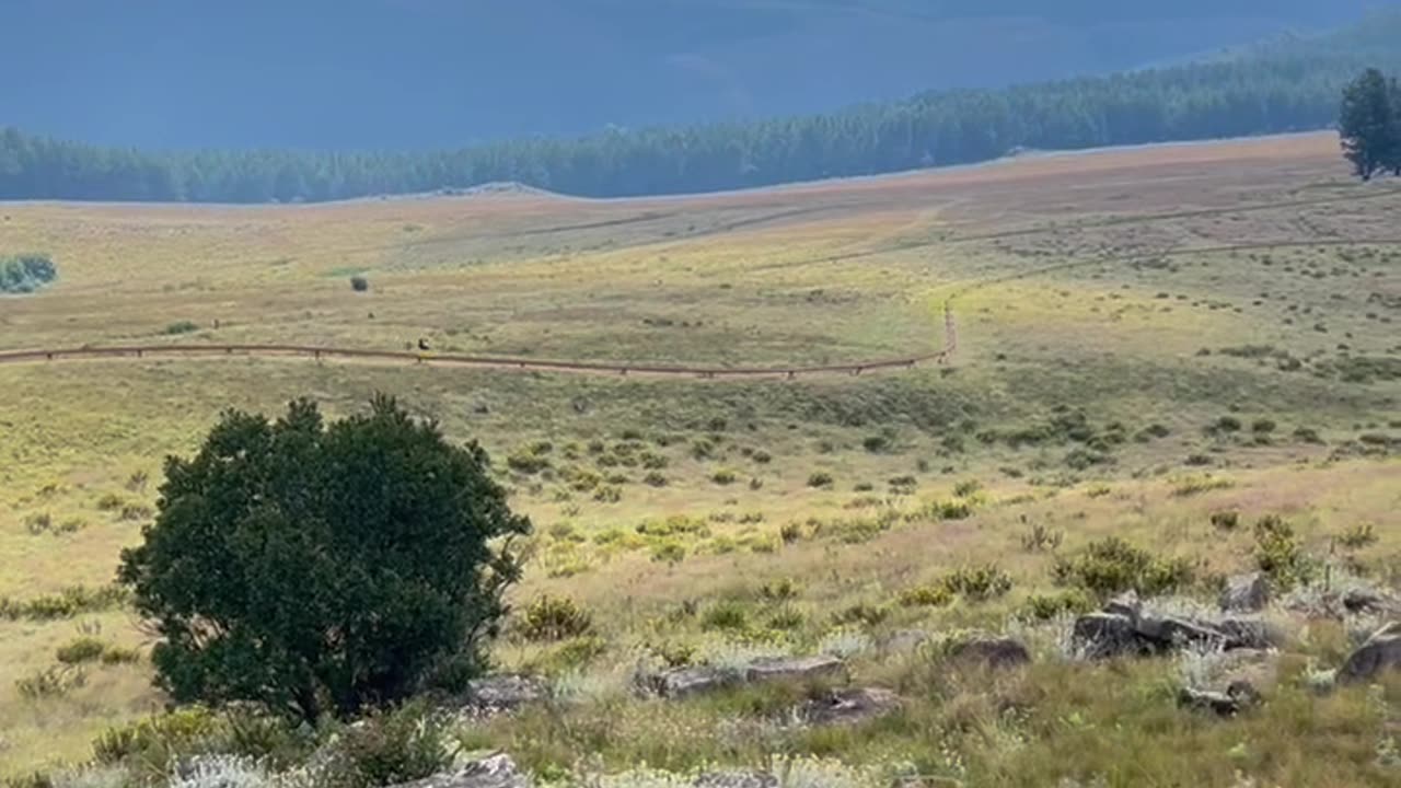 Riding the Long Tom Toboggan in Misty Mountain