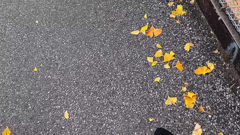 Chiba Adventure 🇯🇵 | Clothes Price in Japan, Jelly Coffee & Food Exploring | 23-Year-Old Vlog