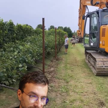 Vineyard storm damage 🌪️🍇