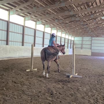 How to do the trail class rope gate !