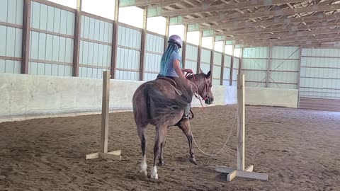 How to do the trail class rope gate !