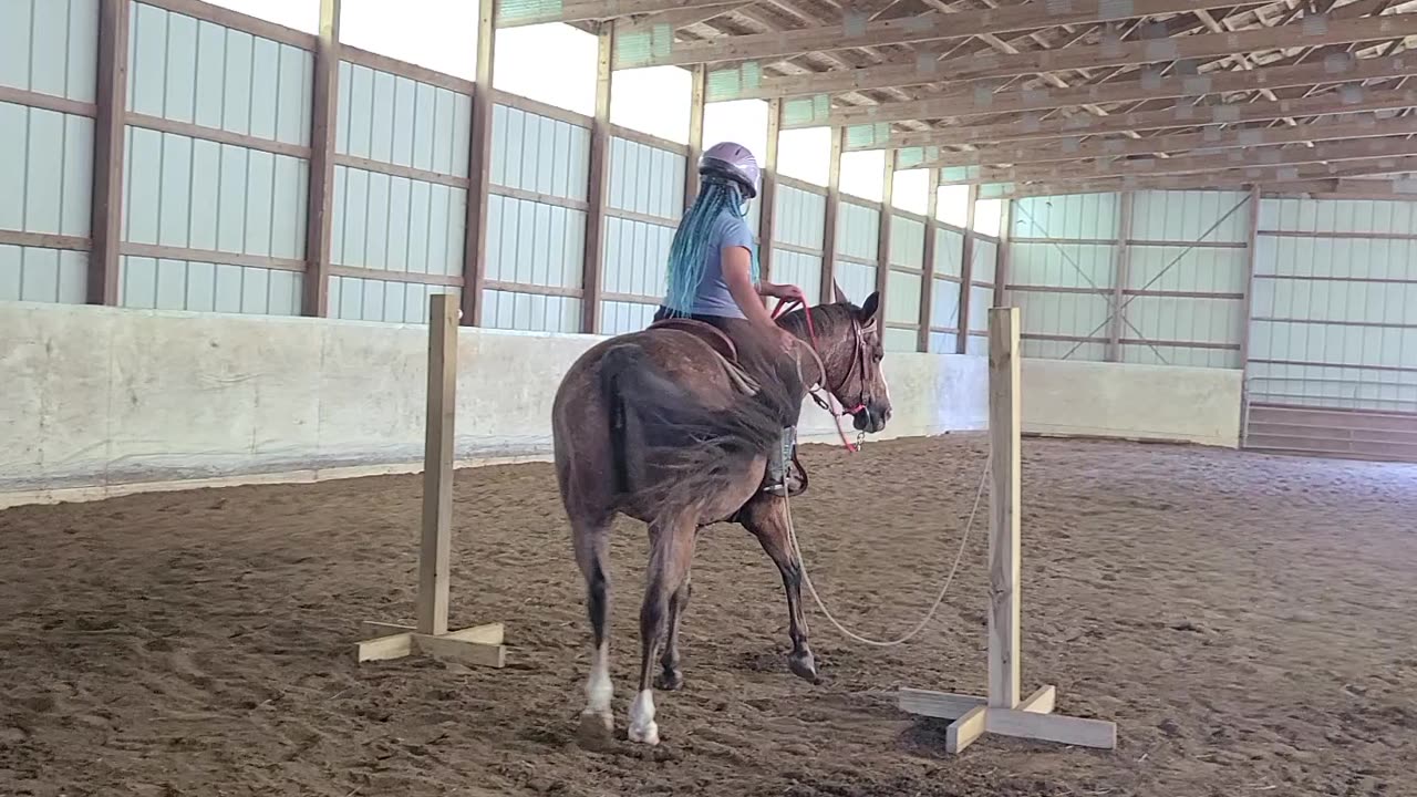 How to do the trail class rope gate !