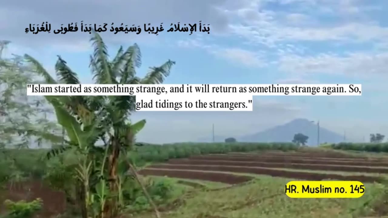 Partly about the Islamic religion 2