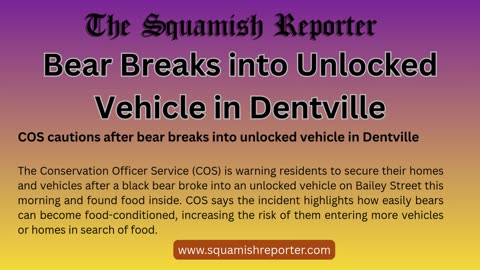 Bear Breaks into Unlocked Vehicle in Dentville - www.squamishreporter.com