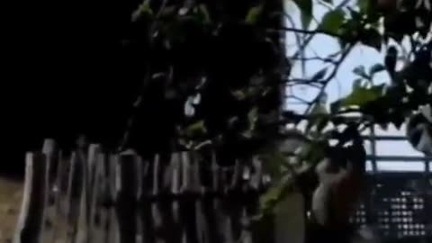 😨💥 Poltergeist Caught Throwing Objects in Kitchen! | TheHauntingHour