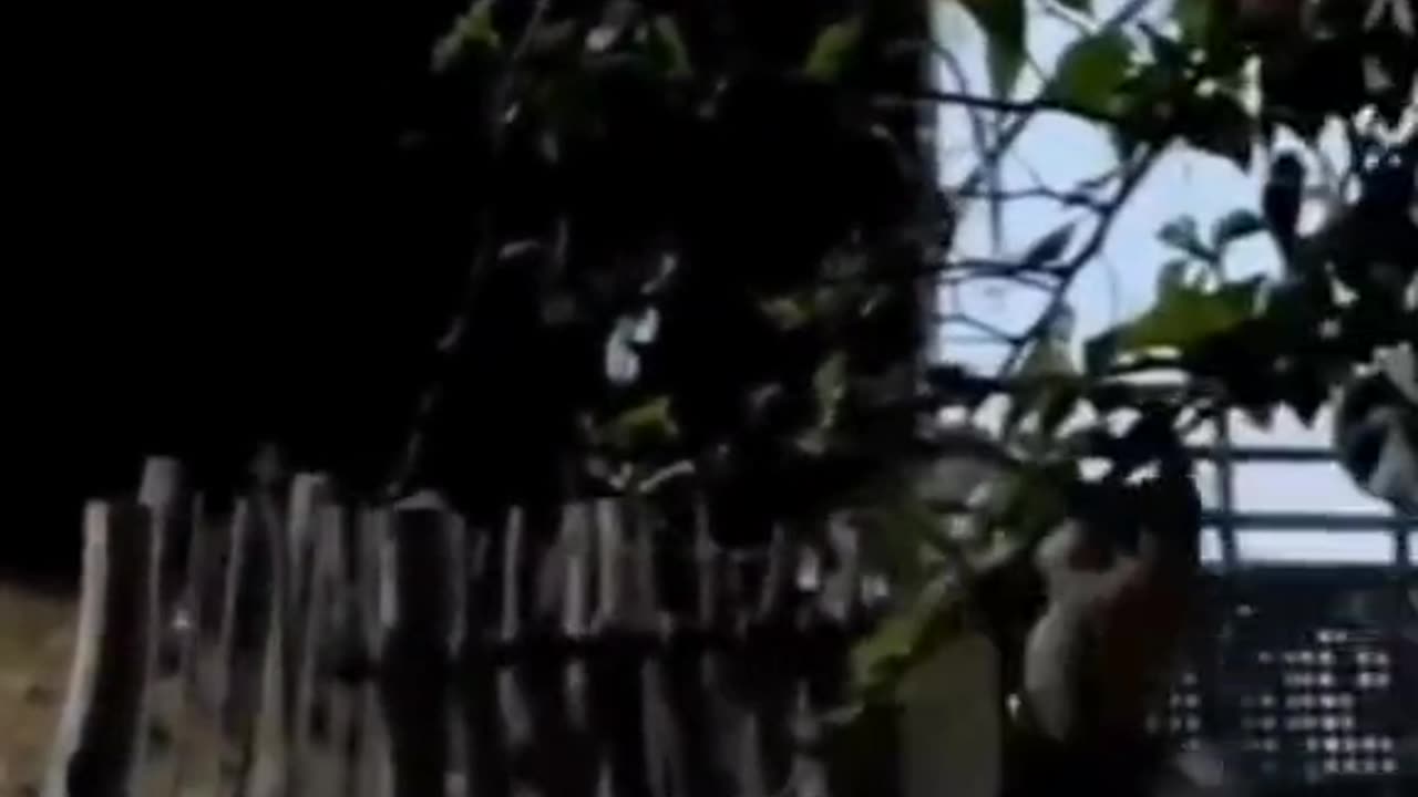 😨💥 Poltergeist Caught Throwing Objects in Kitchen! | TheHauntingHour