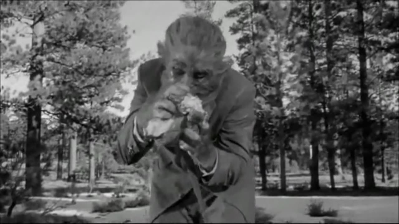 The werewolf 1950's movie