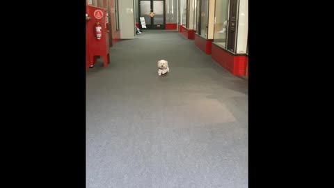 Emergency stop 2x times