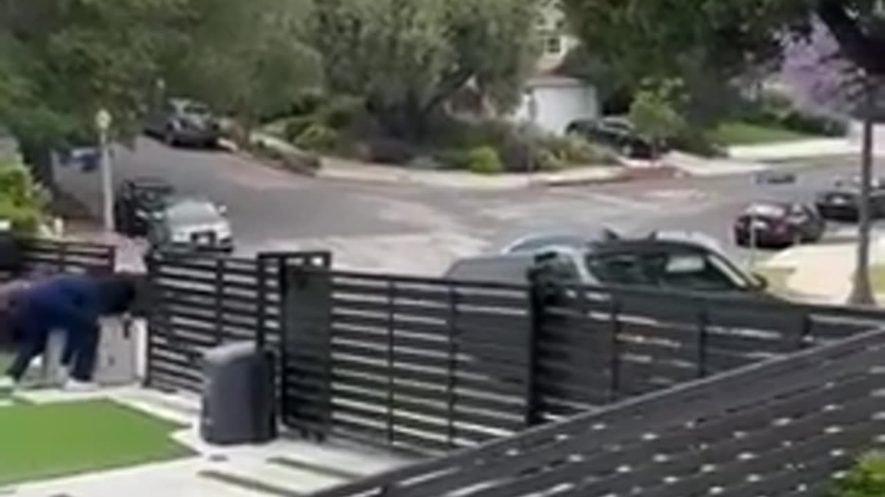 3 Einsteins try to make off with a huge safe in a small KIA car. Guess who?