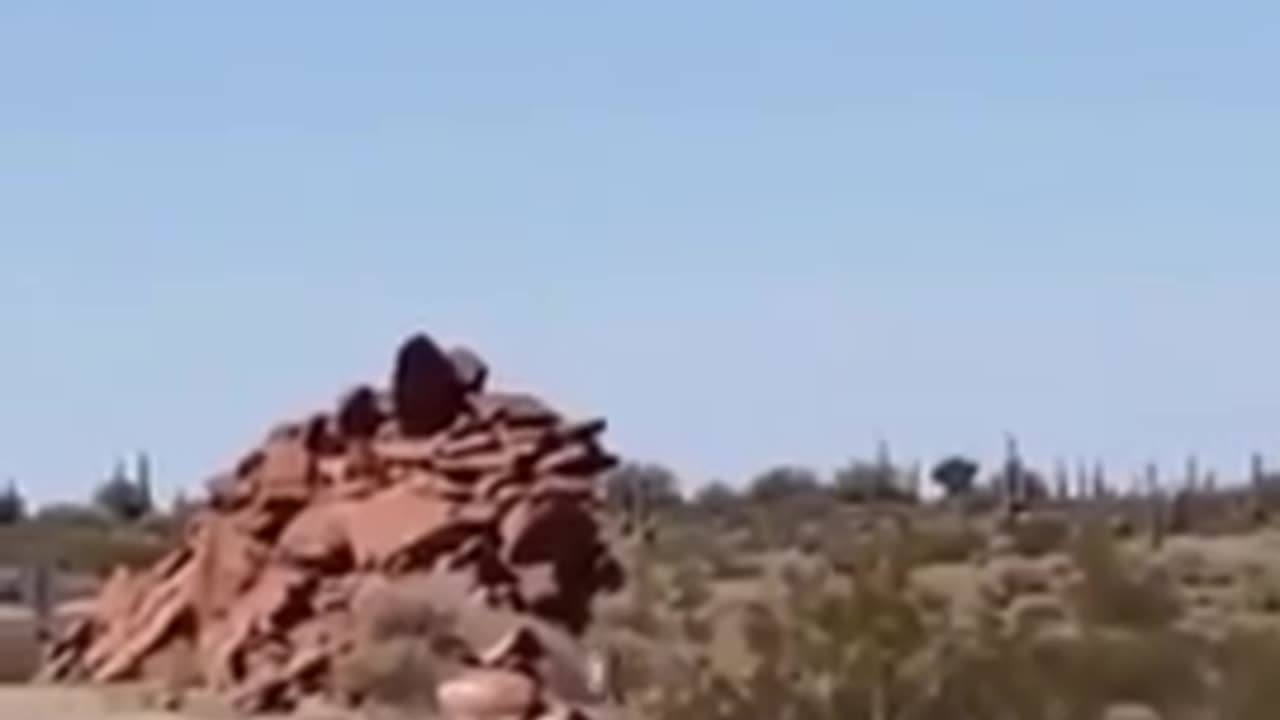 When cartoons come to life...