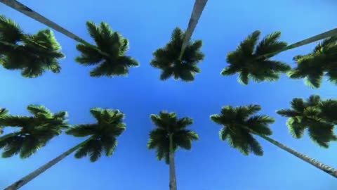 Beautiful 4K Nature Videos Beautiful Sea Overlooking Suspension