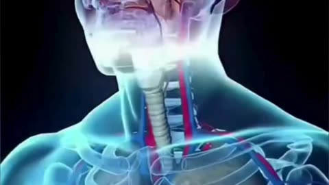 10 ऐसी चीजें जिनके बारे में आज ही जान लो #viral #like #follow #trending #health #skin