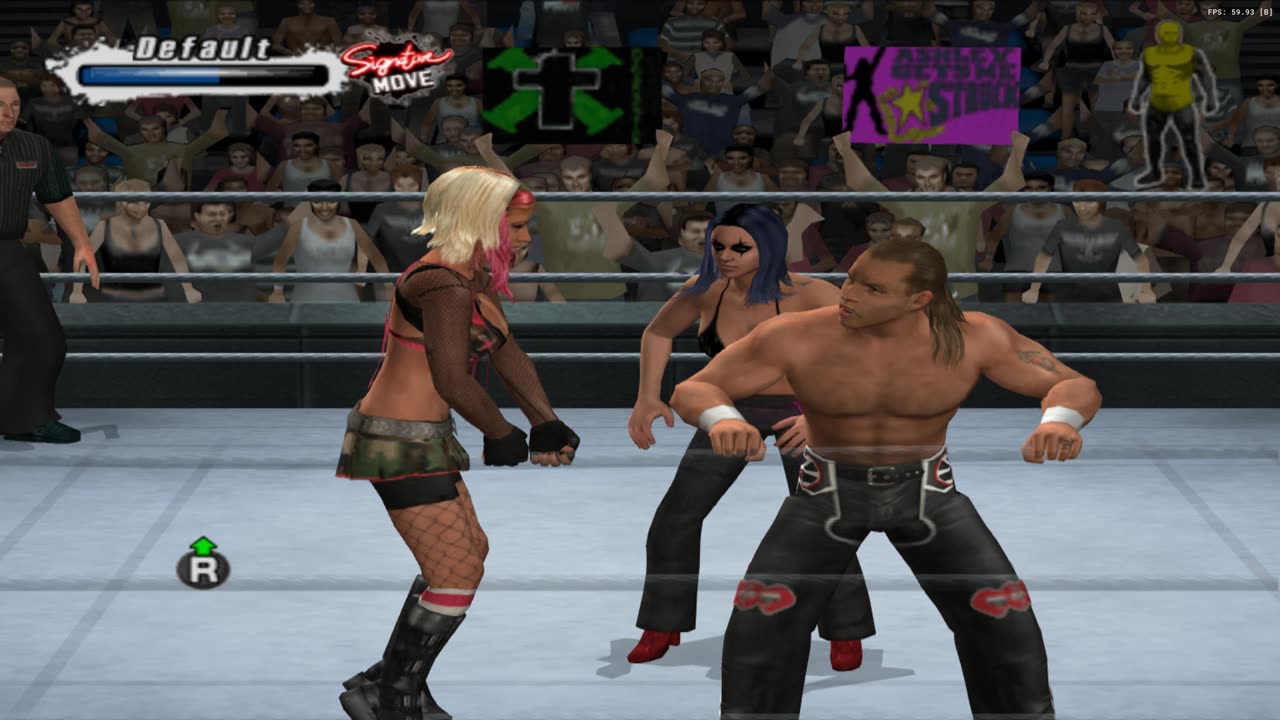 WWE SmackDown vs. Raw 2009 ps2 | HBK vs Ashely vs bot